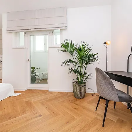 Bright Designer With 2br, 2ba And Free Parking Appartement